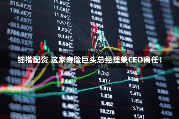 钿楷配资 这家寿险巨头总经理兼CEO离任！