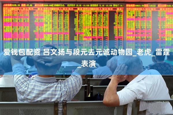 爱钱包配资 吕文扬与段元去元诚动物园_老虎_雷霆_表演