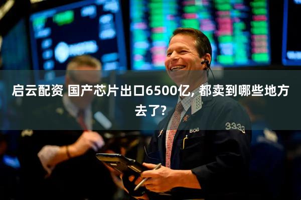 启云配资 国产芯片出口6500亿, 都卖到哪些地方去了?