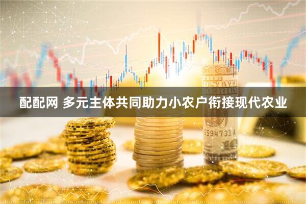 配配网 多元主体共同助力小农户衔接现代农业