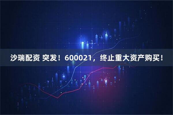 沙瑞配资 突发！600021，终止重大资产购买！