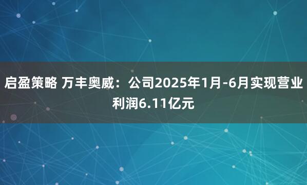 启盈策略 万丰奥威：公司2025年1月-6月实现营业利润6.11亿元