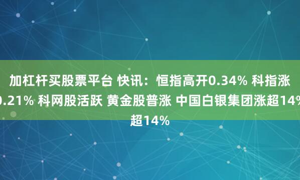 加杠杆买股票平台 快讯：恒指高开0.34% 科指涨0.21% 科网股活跃 黄金股普涨 中国白银集团涨超14%