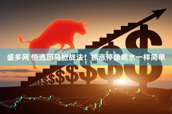 盛多网 悟透回马枪战法！抓涨停像喝水一样简单