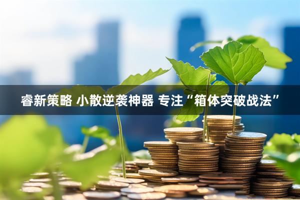 睿新策略 小散逆袭神器 专注“箱体突破战法”