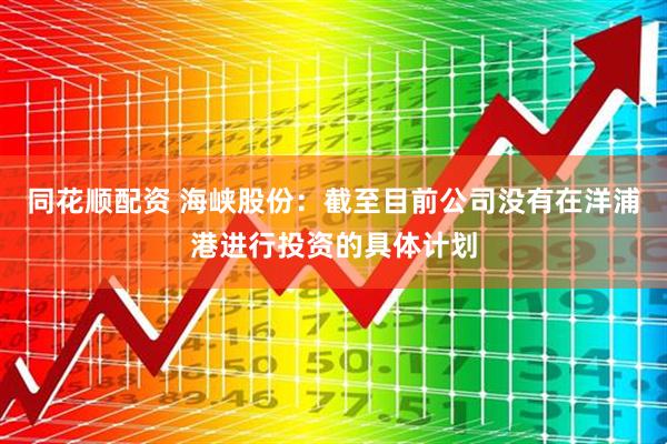 同花顺配资 海峡股份：截至目前公司没有在洋浦港进行投资的具体计划